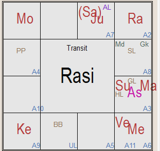 Significado de las casas en astrología védica